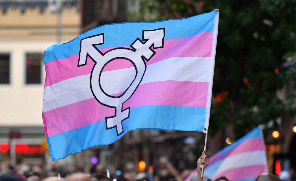 Person waves a transgender flag with the transgender symbol over a crowd