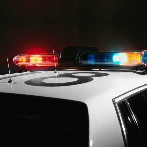 Protected and Served? Interactions with Police, Courts, Prisons and School Security