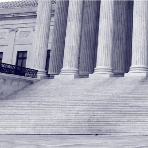 Litigation Library - Lambda Legal