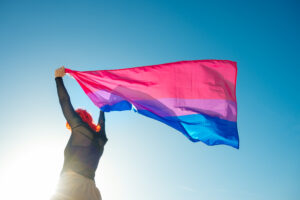 Person holds bisexual flag over blue sky