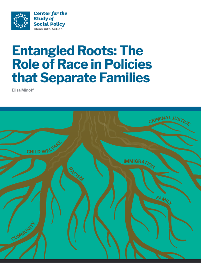 CSSP Entangled Roots Report Cover
