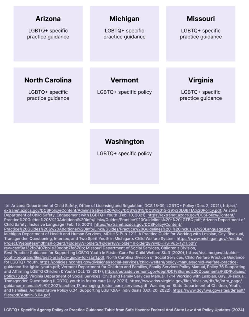 Safe Havens REPORT - Lambda Legal