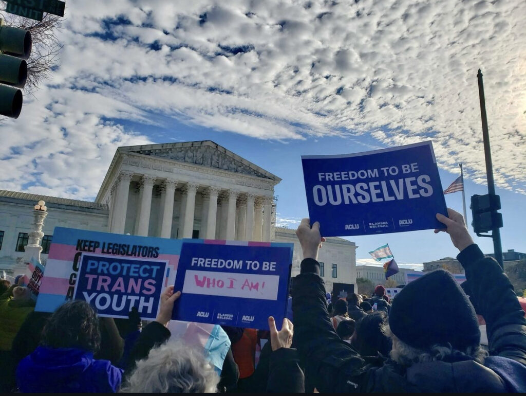 queer and trans people hold up signs at freedom to be ourselves really outside of the supreme court during skrmetti oral arguments