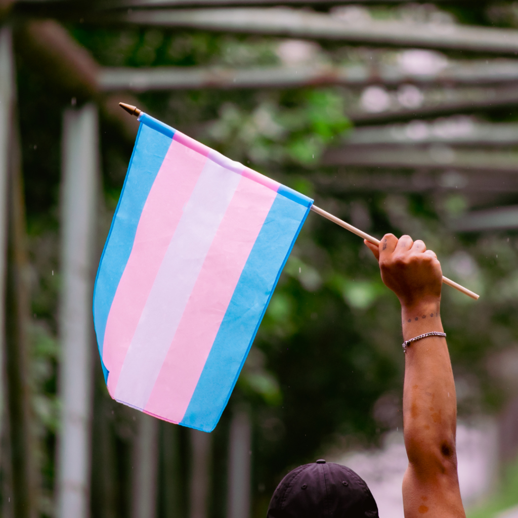 Person raises a transgender pride flag over their head.